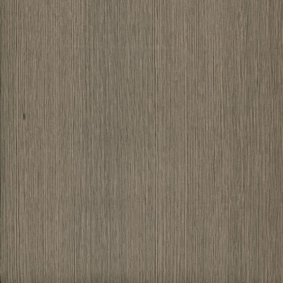 Rôles de film de meubles en PVC imperméable à l'eau en grain de bois en relief anti-flamme antibactérien 0,1 mm-0,5 mm